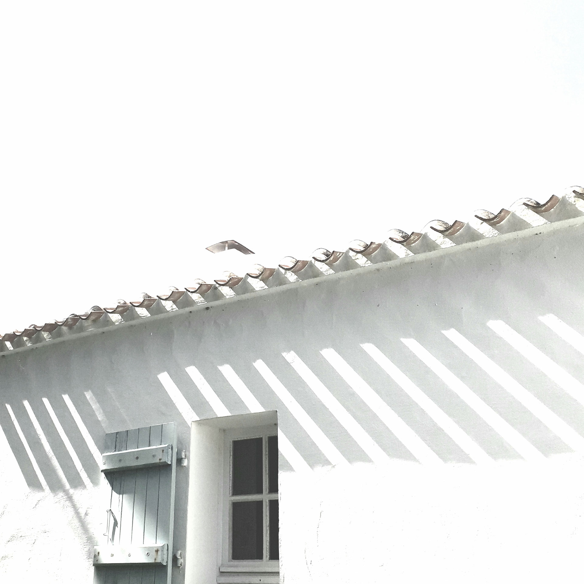 Ombres — Ombre graphiques 2019 LB  3 — Somoya architecte